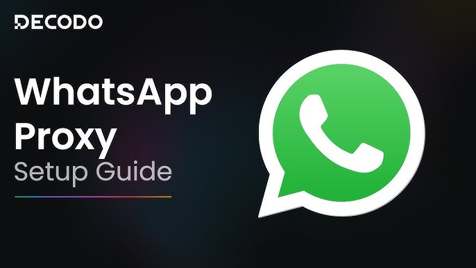 Recommended WhatsApp Number Filter Tools